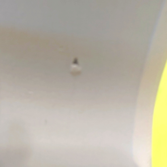 Prada NWOT Off White Sunglass Case With Box And Cloth - Picture 7 of 7